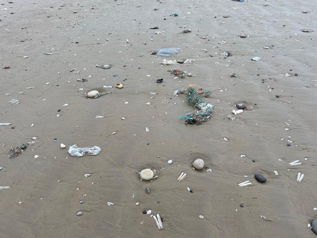 Eliminar Los Microplasticos Del Agua Contaminacion Del Mar 1024x768