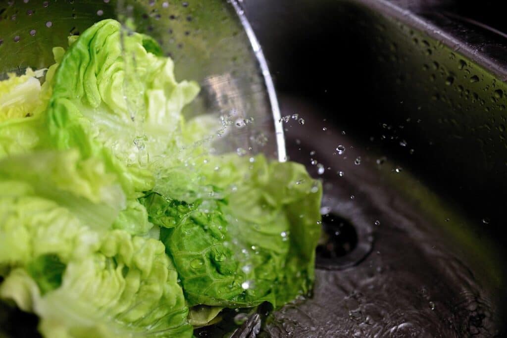 Por Que Cocinar Con Agua Alcalina Lavar Alimentos Con Agua Alcalinizada 1024x683