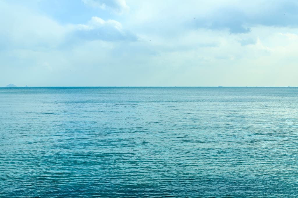 Cómo encontrar agua en la naturaleza beber agua de mar