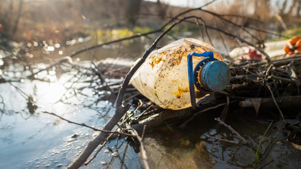 consecuencias de la contaminación del agua